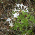 DSCN0276
